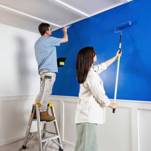Pro
  Renovator kits have the tools you need for any painting project I/N 0341493