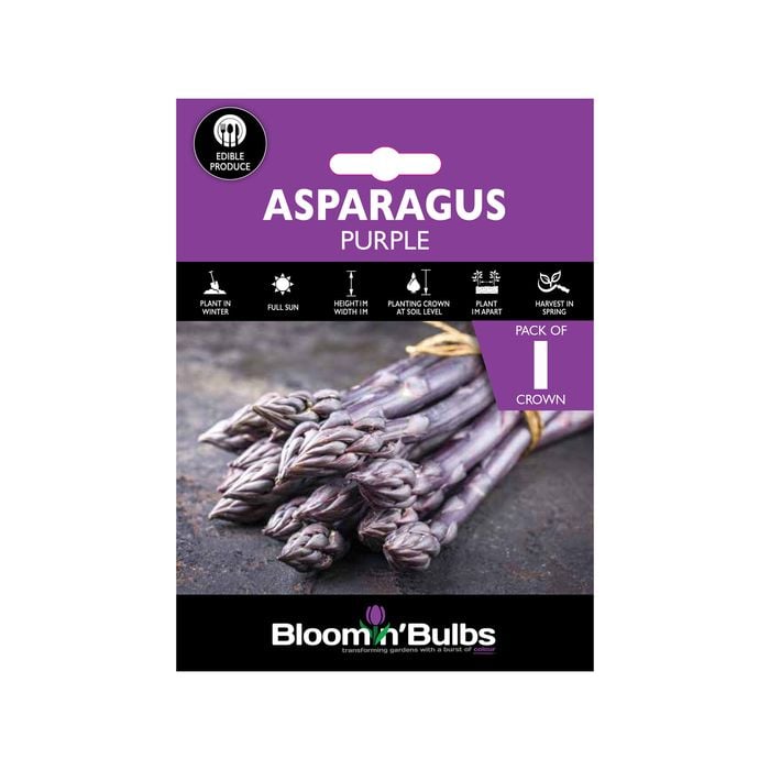 Bloomin' Bulbs Asparagus Purple - 1 Pack