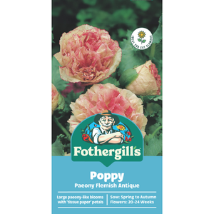 Fothergill's Poppy Paeony Flemish Flower Seeds