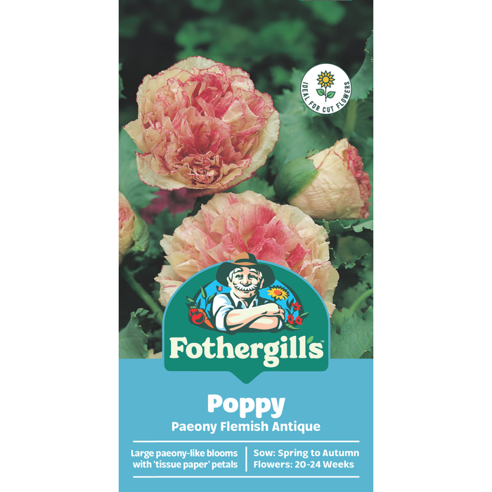 Fothergill's Poppy Paeony Flemish Flower Seeds