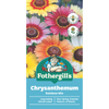 Fothergill's Chrysanthemum Rainbow Mix Seeds