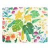 Ecology Set of 4 Placemats 34x26cm