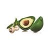 Avanti Fruit And Vegetable Savers - Avocado