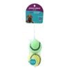 2PK Paws & Claws Squeaky Tennis Balls Assorted