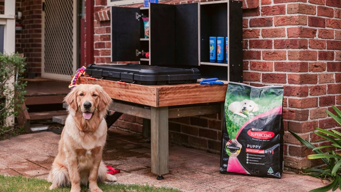  A golden retriever sits on a lawn beside a raised wooden dog-wash station with storage shelves, dog shampoo bottles, and grooming supplies, set against a brick house wall.