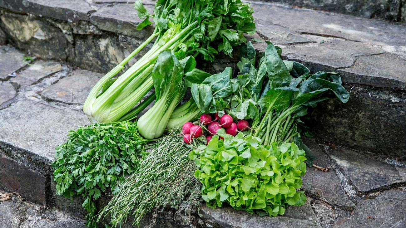 Assortment of harvested vegetable laid on stone steps