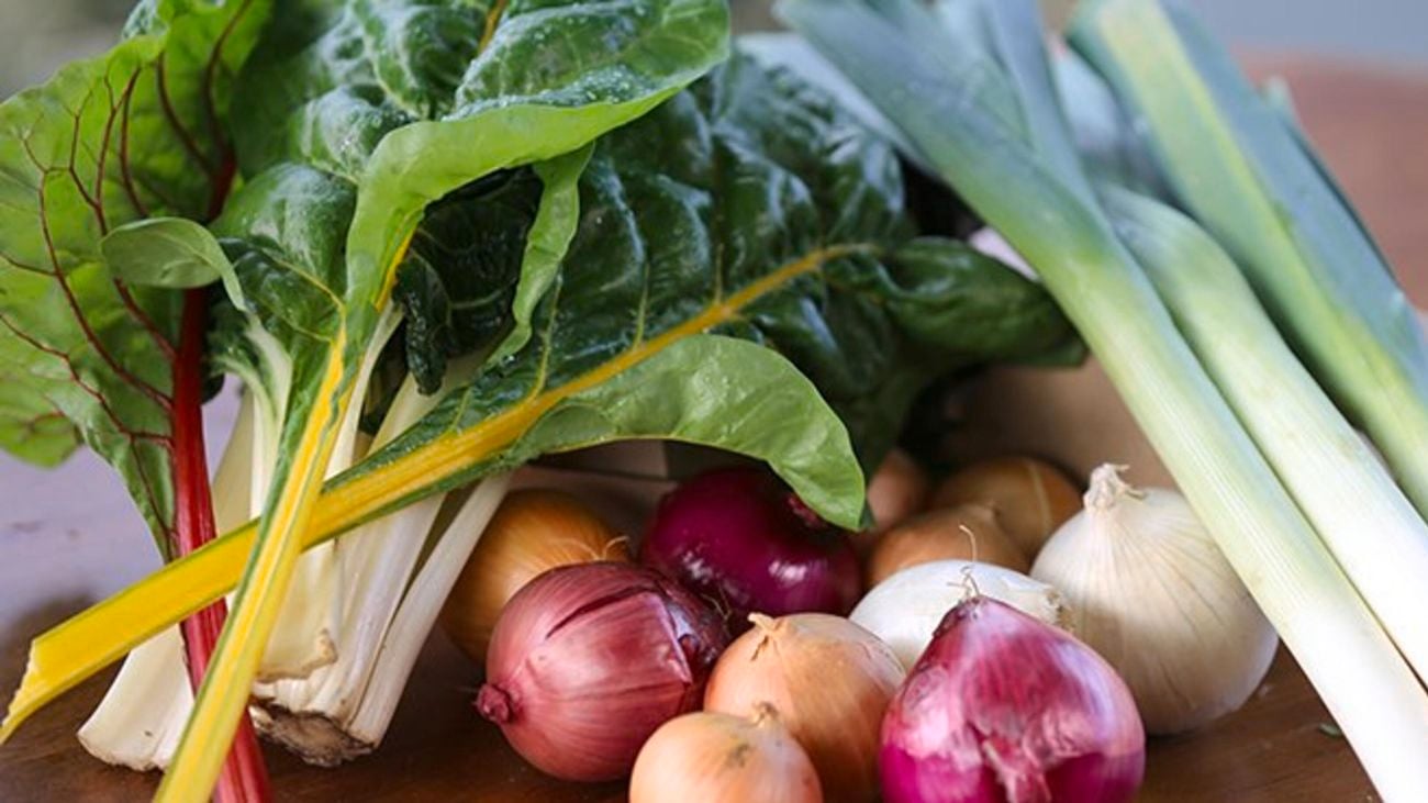 Harvested vegetables including onions and chard.