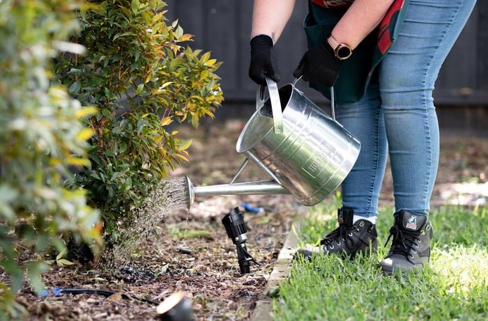 watering  garden with watering can