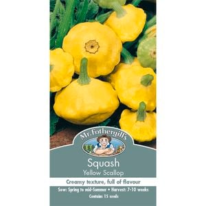 Mr Fothergill's Yellow Scallop Squash Vegetable Seeds