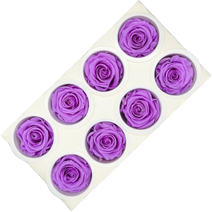 Blooms Of Joy 5cm Lavender Rose 8 pack