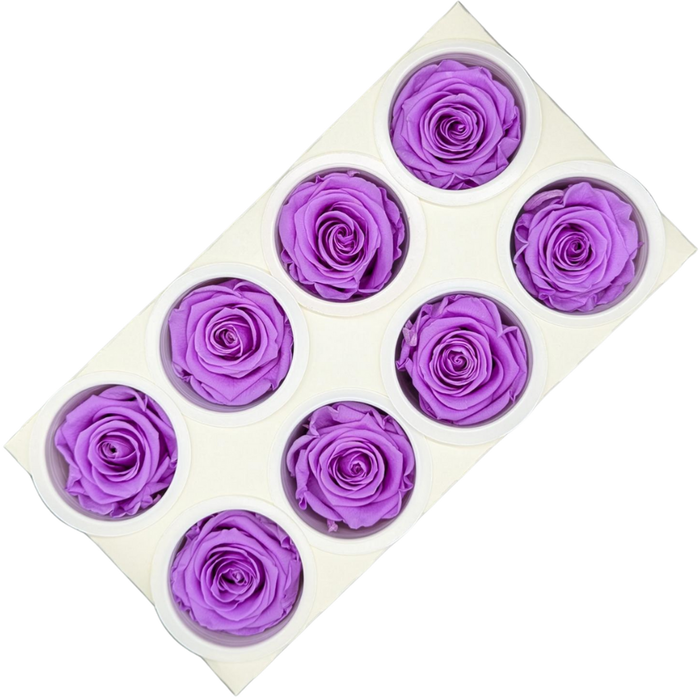 Blooms Of Joy 5cm Lavender Rose 8 pack