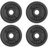 METEOR 1.25kgx4 Black Cast Iron Standard Weight Plates