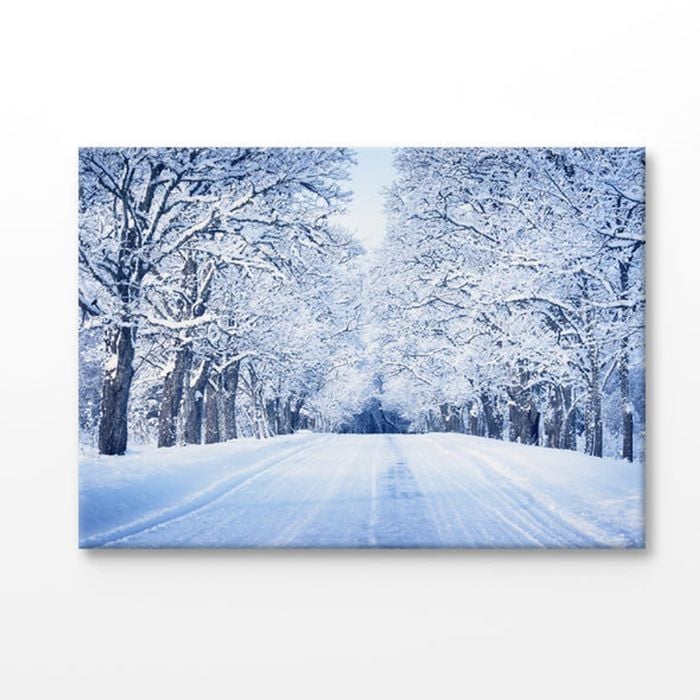 Road & Trees With Snow on Winter Print 100% Australian Made 90x60cm (Stretched Canvas)