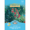 Mr Fothergill's Red Flowering Gum Flower Seeds