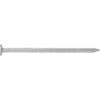 NZ Nails Flat Head  50x2.5mm 15kg Galv Nail