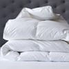 Renee Taylor King Single 600 GSM Deluxe Microfiber Quilt w/ Cotton Cover White