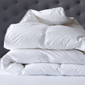 Renee Taylor King Single 600 GSM Deluxe Microfiber Quilt w/ Cotton Cover White