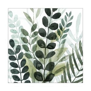 Artey | Forest Forage IV - Stretched Canvas - Stretched Canvas - 100 x 100cm