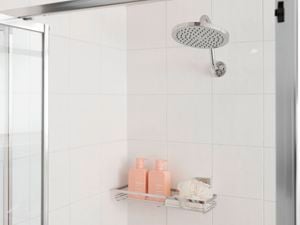 A new shower head and neatly organised shampoo and conditioner on a wall shelf.