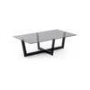 Black glass Plam coffee table 120 x 70 cm