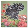 P&P Black Cockatoo Hand Painting Canvas For Bold Decorative Feature Walls