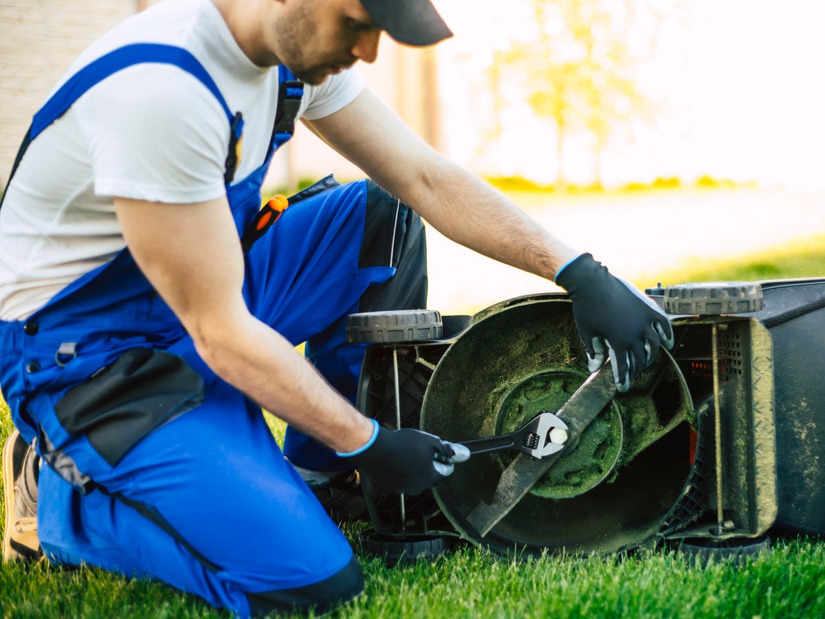 How To Service A Lawn Mower Bunnings Australia