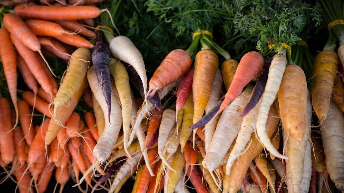 Pile of carrots in assorted colours.