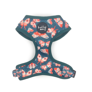 Holly & Co  Wings Small Green Stylish Dog Harness