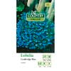 Country Value Seed Lobelia Cambridge Blue