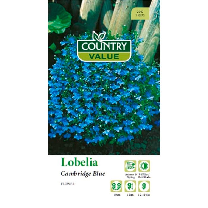 Country Value Seed Lobelia Cambridge Blue