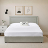 Big Lot Queen Light Grey Harper Gas Lift Storage Bed Frame