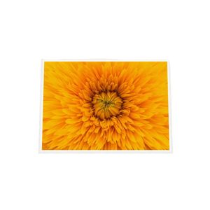 Galrie Stunning Close-Up of a Yellow Flower Fine Art Photography Print, White Frame, A3 30 x 42cm (12 x 16inch)
