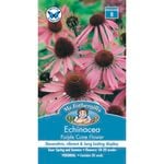 Mr Fothergill's Echinacea Purple Cone Flower Seeds