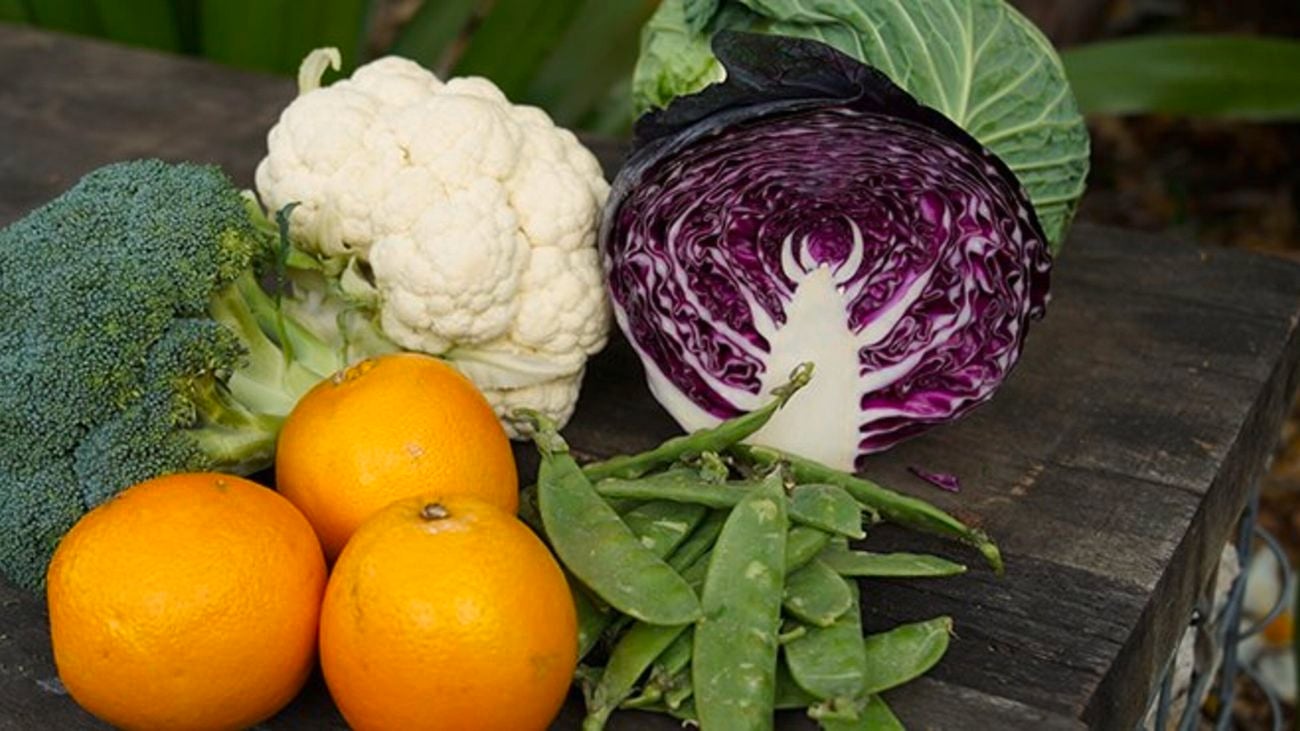 Oranges, broccoli, cauliflower, snow peas and cabbage