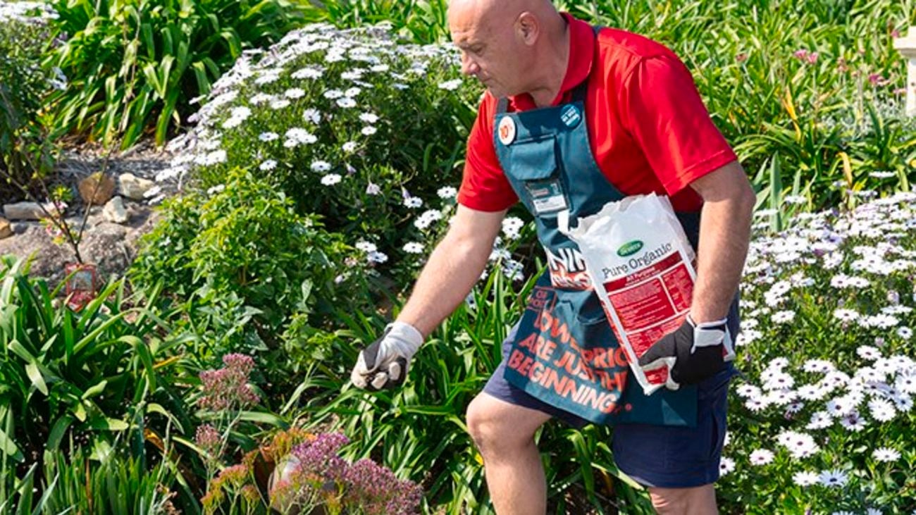 Person fertilising garden.