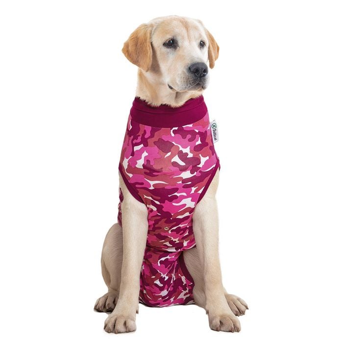 Suitical Recovery Suit® Dog