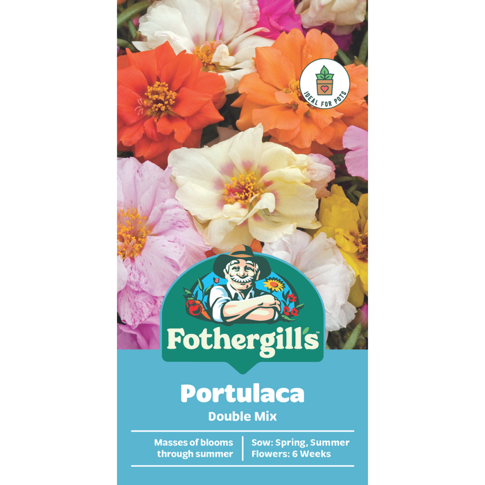Fothergill's Double Portulaca Flower Seeds