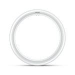 Philips G10 LED 2000Lm Cool Daylight 20W Cicular Globe