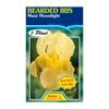 Fiesta Flower Bulbs Iris Germanica Maui Moonlight Bulb