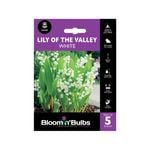 Bloomin' Bulbs Lily Of The Valley - 5 Pack