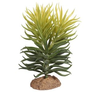 Reptile One Pencil Succulent With Resin Base (46795)