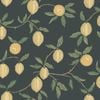 Wallpaper Trader Limone Wallpaper Roll 10.05m X 53cm, Charcoal
