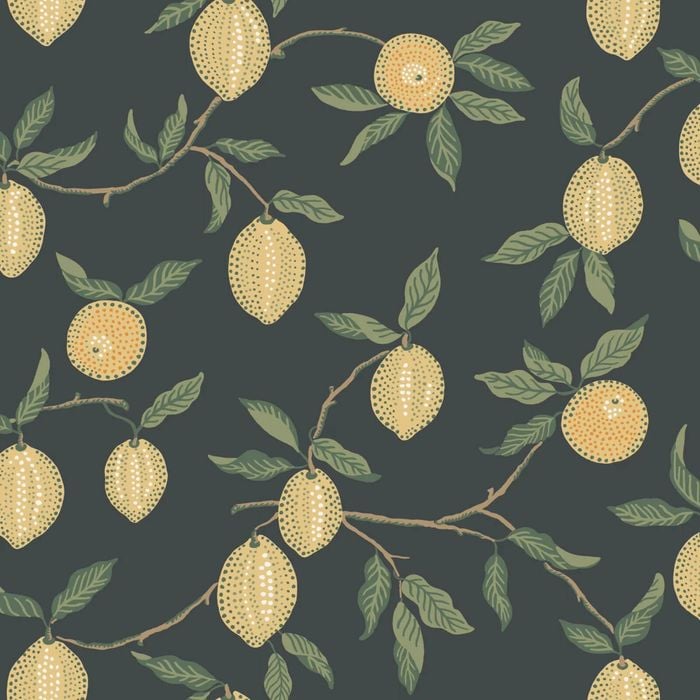 Wallpaper Trader Limone Wallpaper Roll 10.05m X 53cm, Charcoal