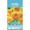 Mr Fothergill's Sunflower Teddy Bear Seeds