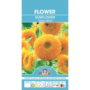 Mr Fothergill's Sunflower Teddy Bear Seeds