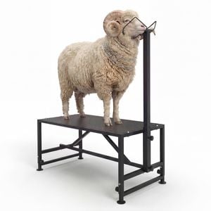 Advwin Livestock Stand Goat Trimming Stand 20"-31" Height Adjustable