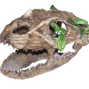 URS Skull w/ Small Teeth Reptile Enclosure Accessory Large