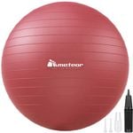 METEOR Red 75-85cm Yoga Ball with Pump