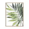 Artey | Expressive Palm IV - Framed Canvas - Natural Frame - 60 x 80cm