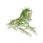 UN-REAL 55cm Green Hoya Linearis Artificial Plant